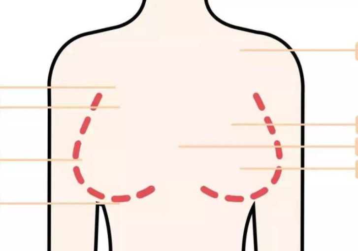 廣西美容學(xué)校：胸部保養(yǎng)的作用
