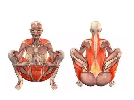 瑜伽動(dòng)作小課堂！