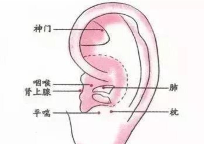 如何正確艾灸耳朵？南寧美容學(xué)校幫你整理教程