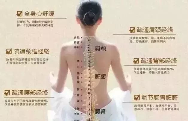 如何進(jìn)行背診？南寧美容培訓(xùn)中心手把手教你