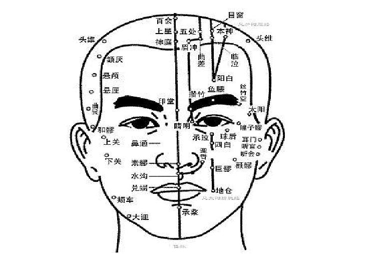 南寧美容培訓(xùn)課程：認(rèn)識(shí)頭部經(jīng)絡(luò)的走向