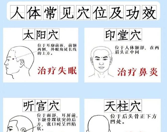 人體常見穴 位及功效，廣西專業(yè)正規(guī)美容學(xué)校講解