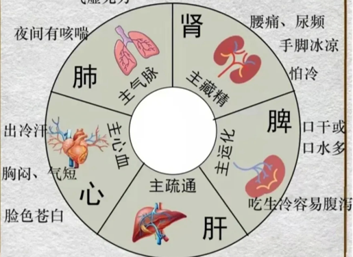 人體不同部位受寒的表現(xiàn)，廣西中醫(yī)美容培訓(xùn)分享