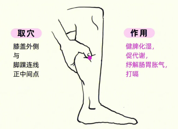 南寧中醫(yī)養(yǎng)生培訓(xùn)：可以養(yǎng)胃的美容穴 位