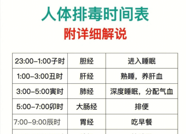 人體排毒時(shí)間表，南寧美容專業(yè)學(xué)校詳細(xì)解說