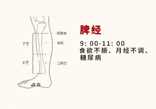 日常容易堵塞的身體部位，廣西美容基礎(chǔ)教學(xué)