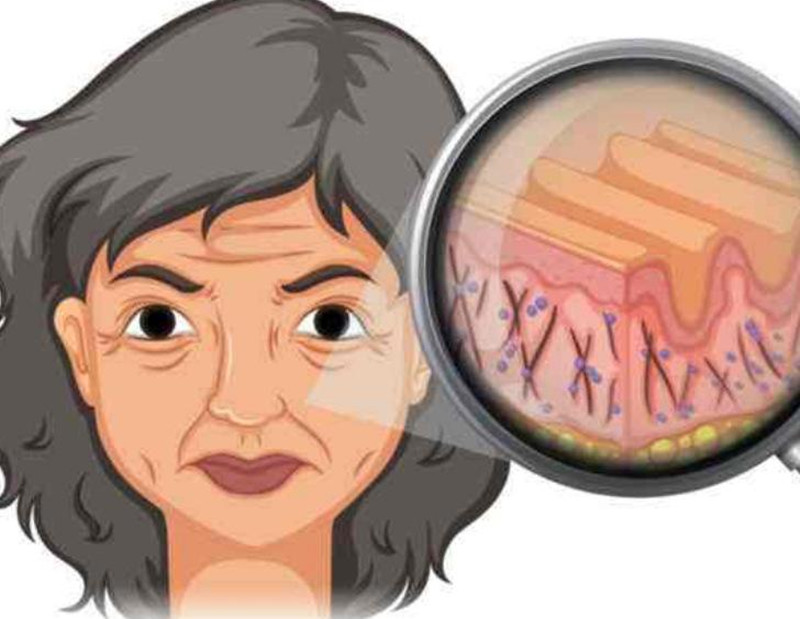 女性如何延緩衰老？南寧皮膚管理培訓(xùn)班講解