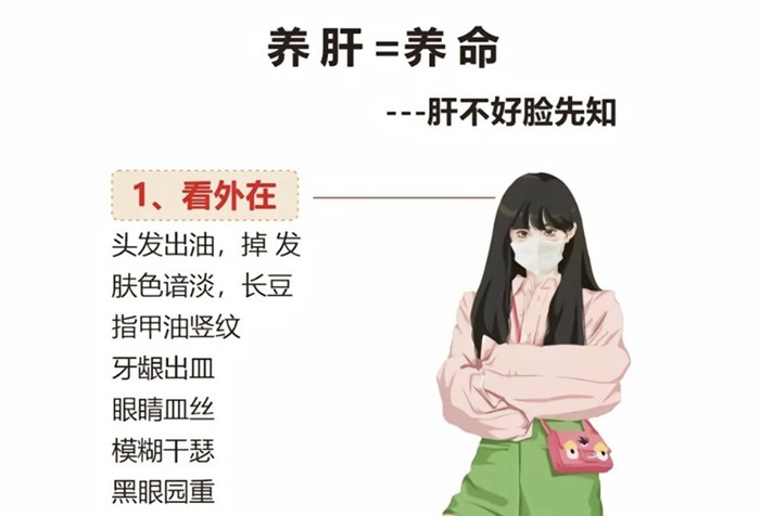 南寧學(xué)健康美容：如何正確養(yǎng)肝？
