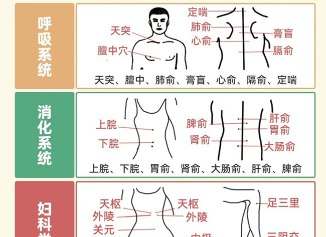 不同部位三伏貼艾灸作用，廣西美體中醫(yī)培訓(xùn)