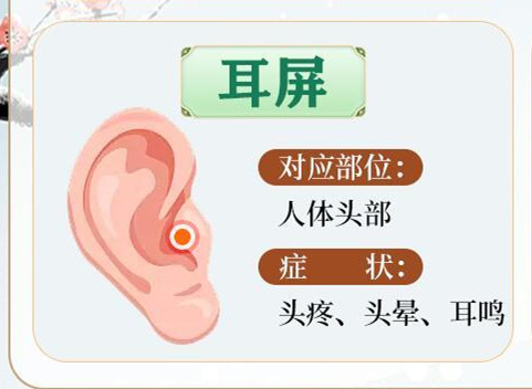 常按耳朵的好處，南寧美容美體哪里專業(yè)？